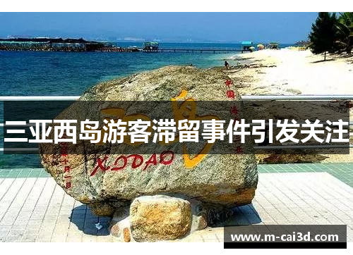 三亚西岛游客滞留事件引发关注